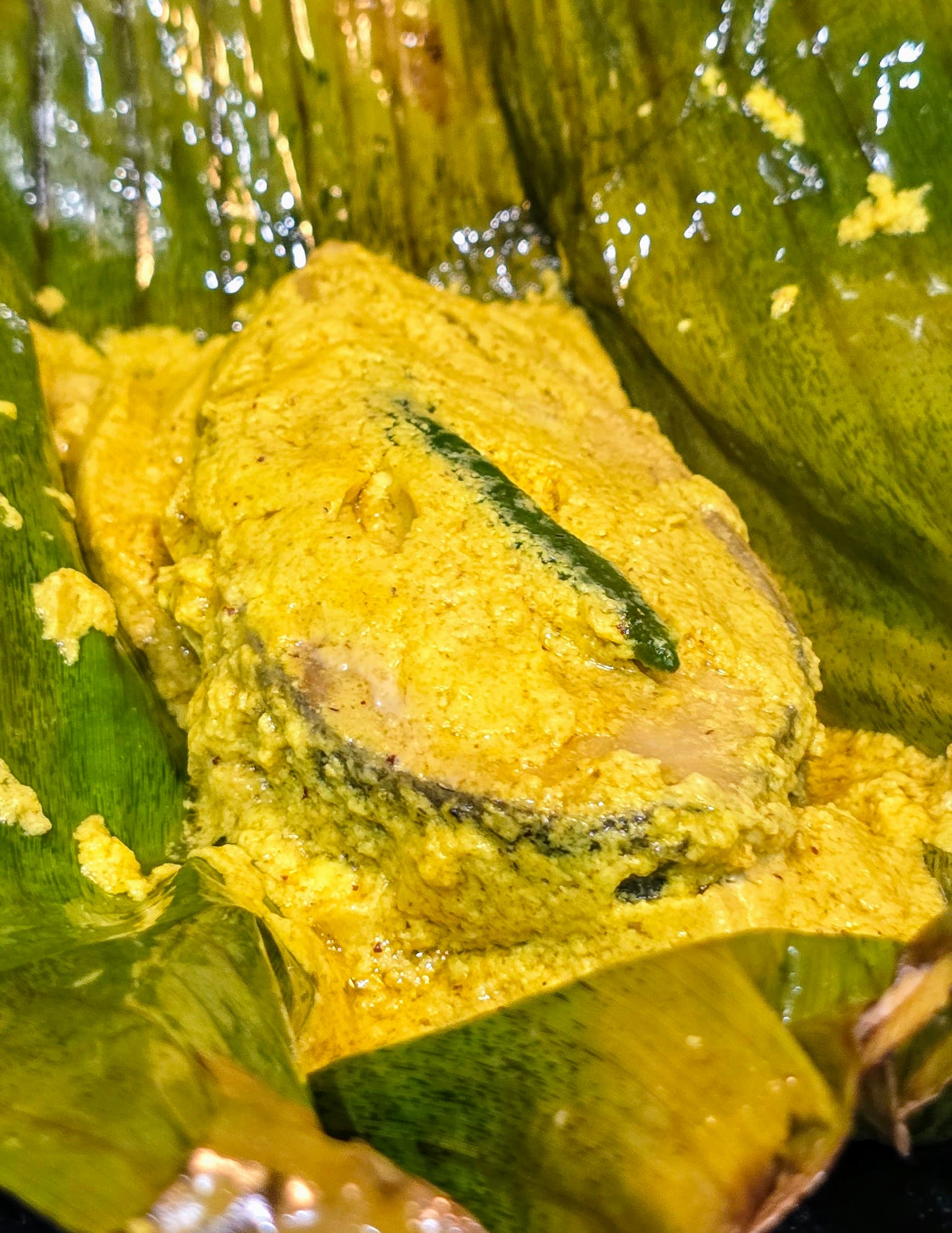 Ilish Paturi